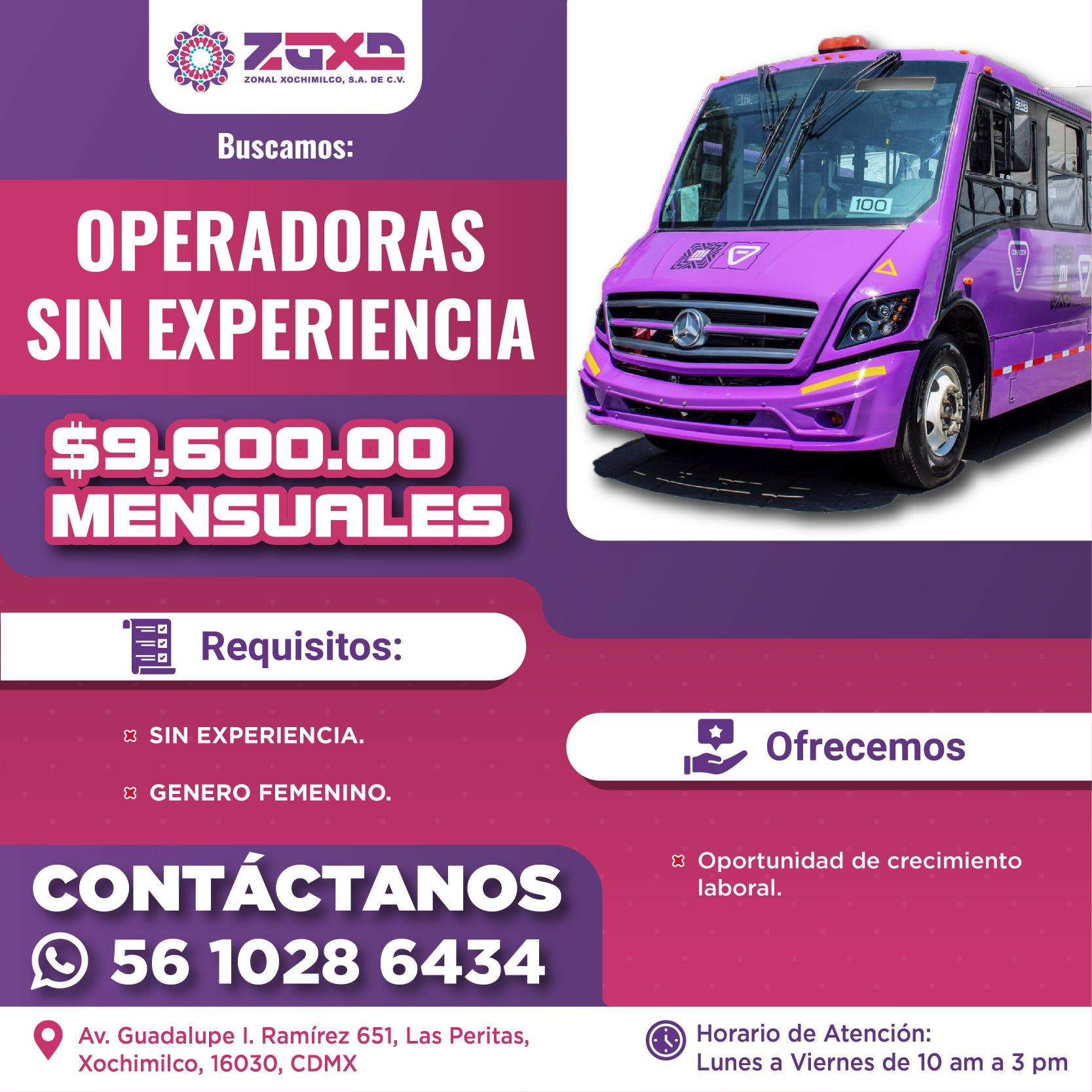 ZOXO VACANTE 15-01