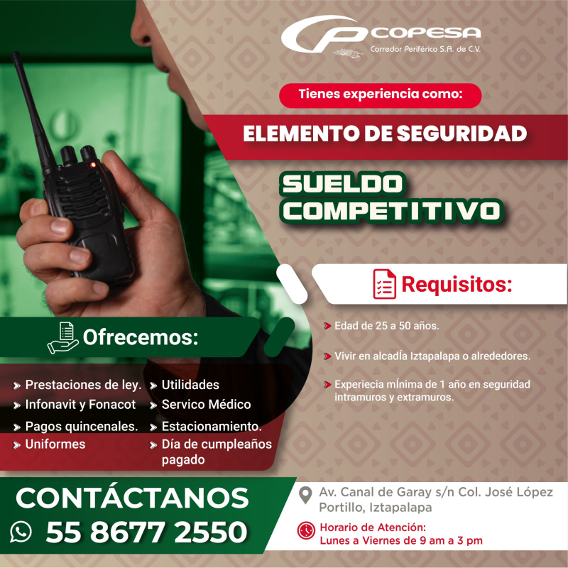 elemento de seguridad-01