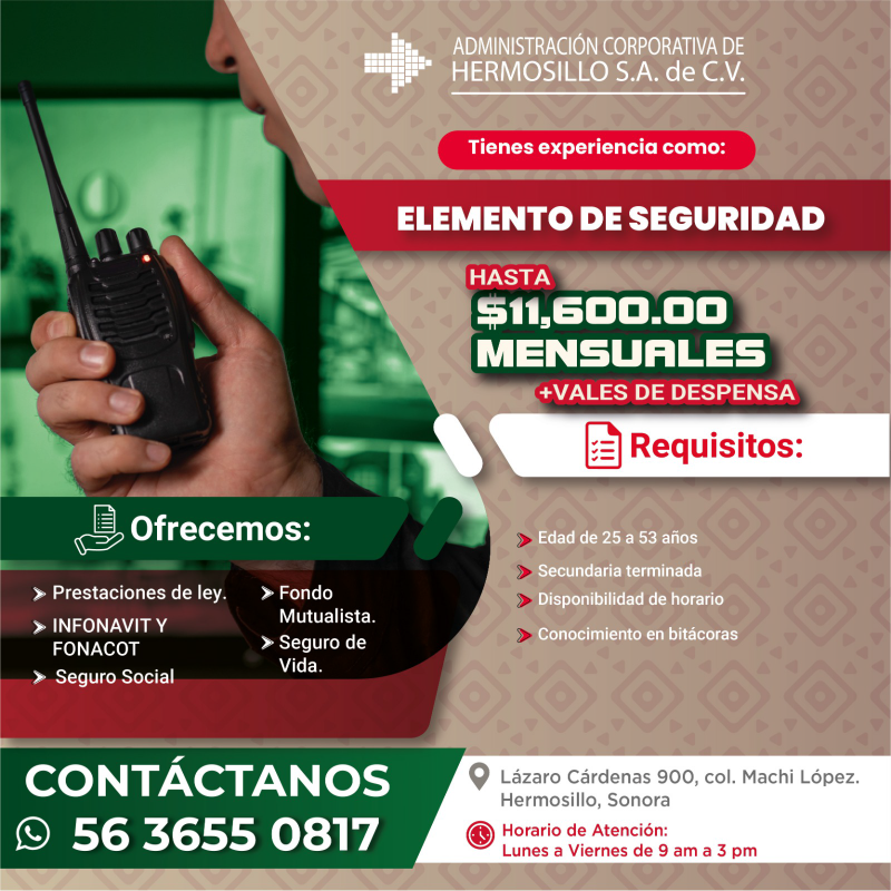 elemento de seguridad-01