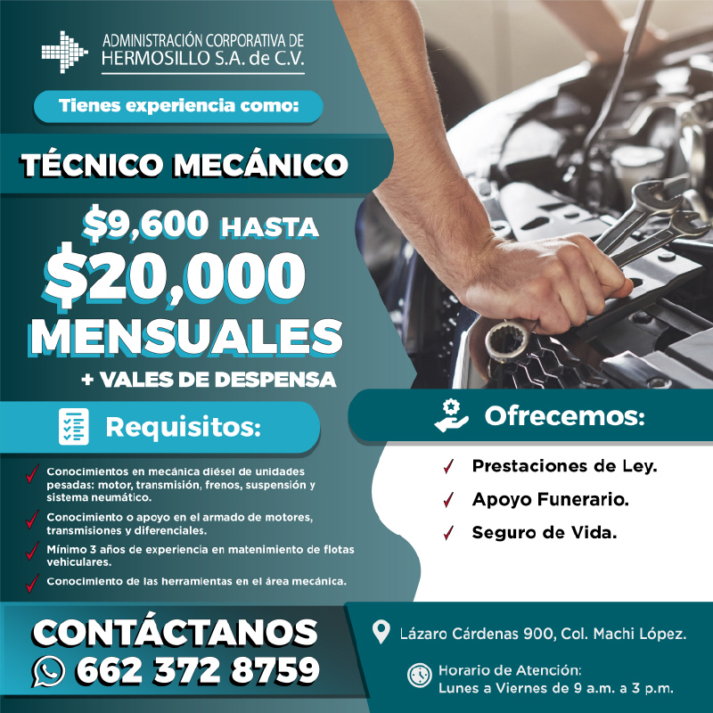 SKYBUS Tecnico mecanico-01
